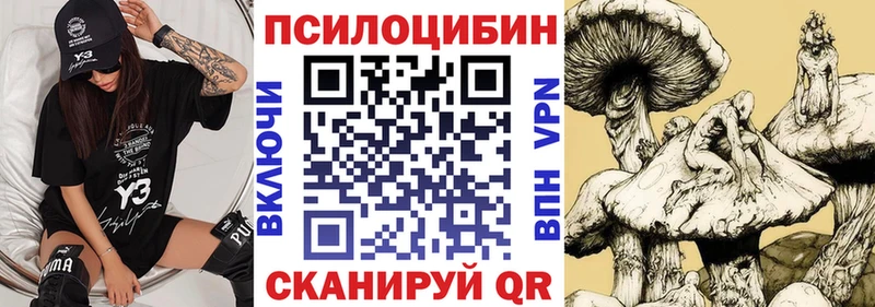 Псилоцибиновые грибы Magic Shrooms OMG зеркало Дорогобуж